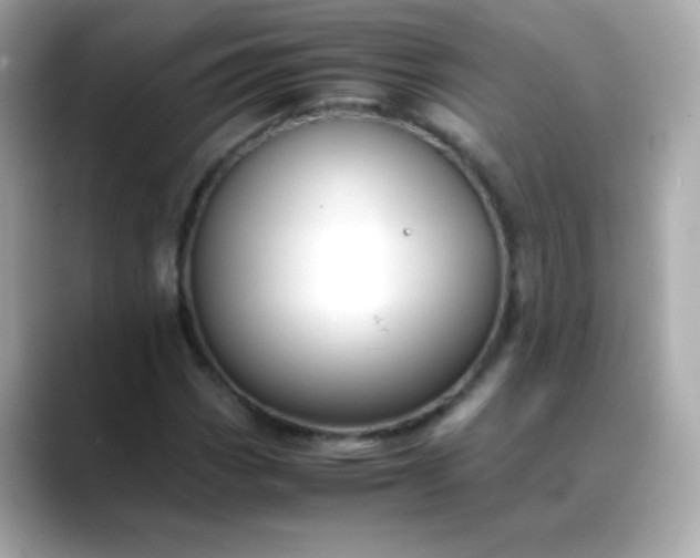 X0000088401113200706051131