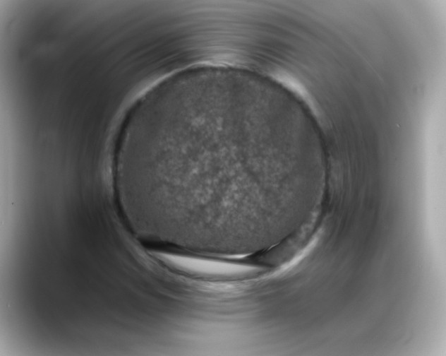 X0000088401114200706051131