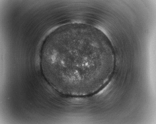 X0000088401115200706051131