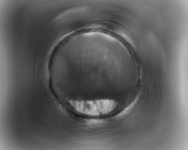 X0000088401117200706051131