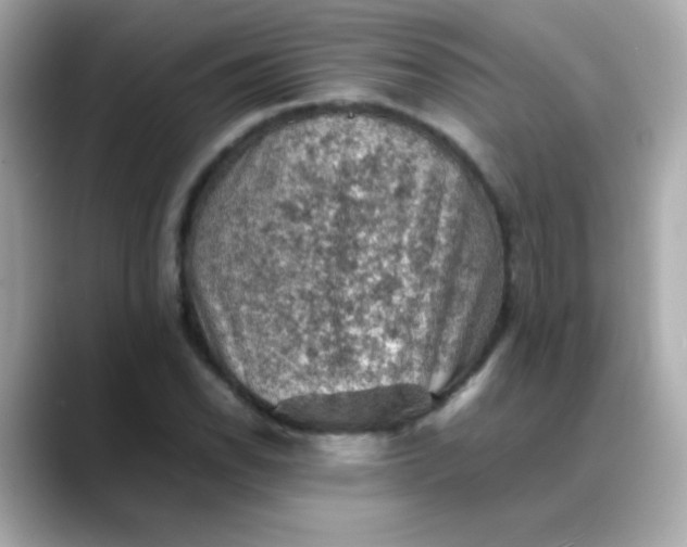 X0000088401118200706051131