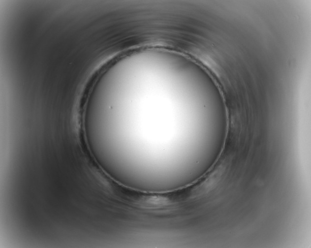 X0000088401119200706051131