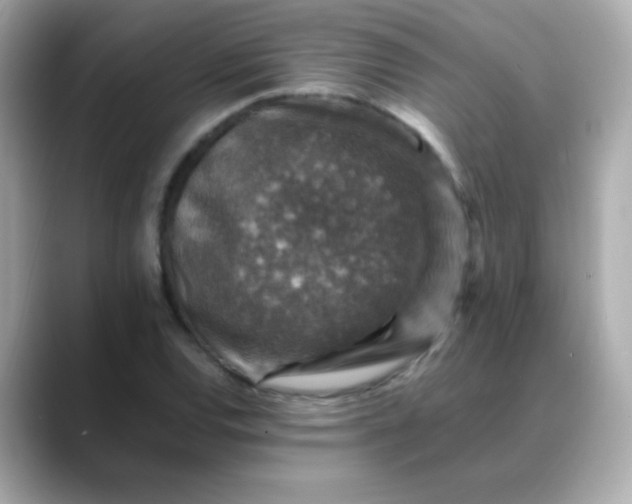 X0000088401120200706051131