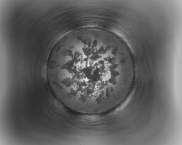 X0000088401121200706051131