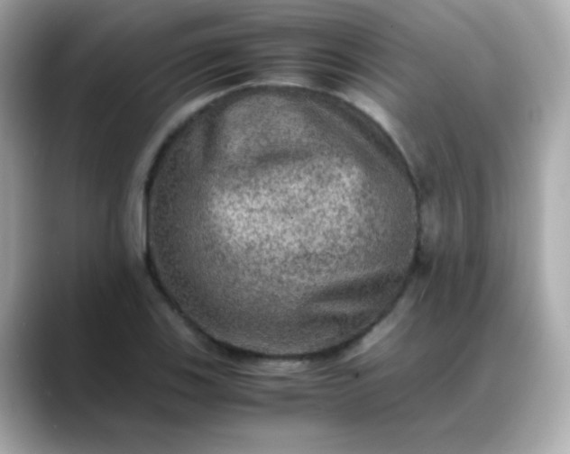 X0000088401123200706051131