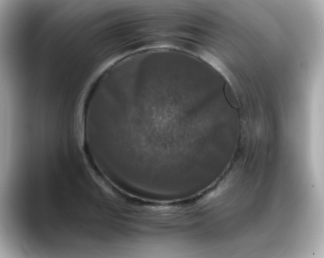 X0000088401127200706051131