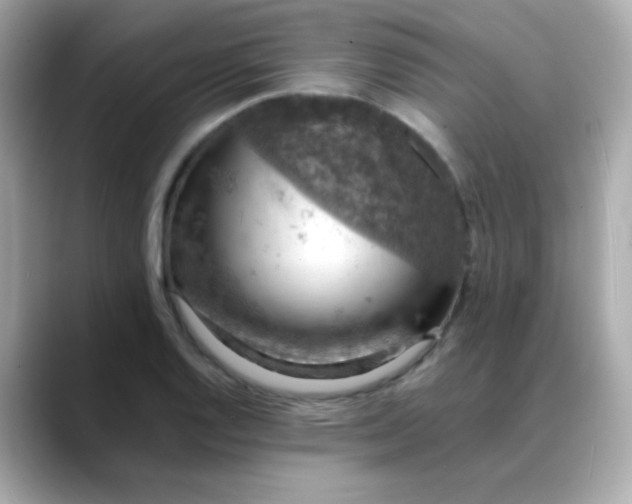 X0000088401128200706051131