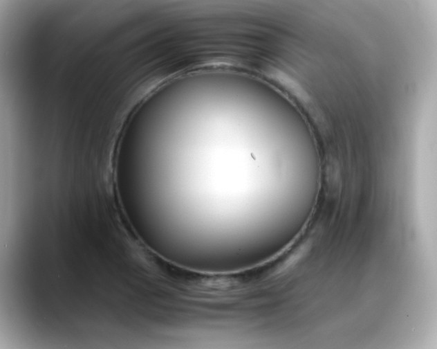 X0000088401129200706051131