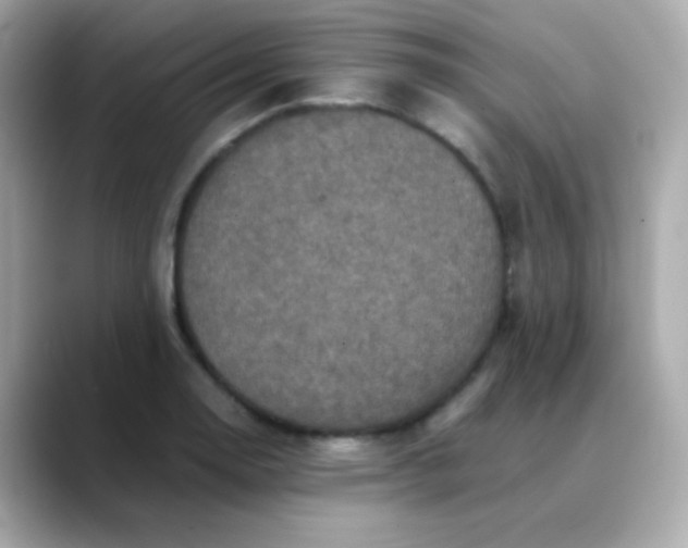 X0000088401130200706051131