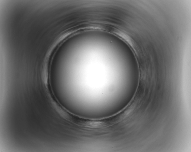 X0000088401131200706051131