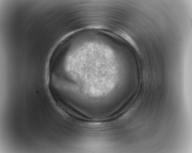 X0000088401132200706051131