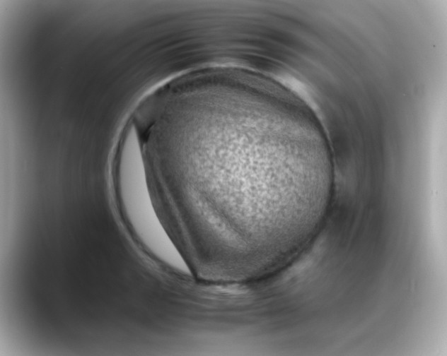 X0000088401133200706051131