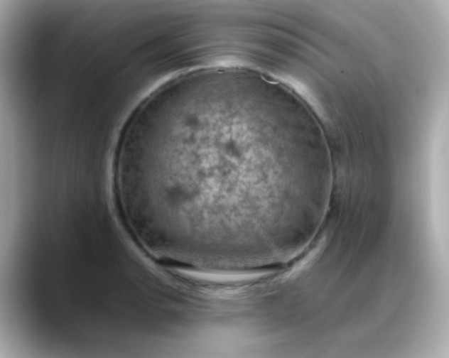 X0000088401134200706051131