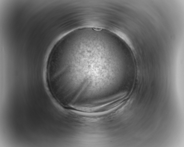 X0000088401136200706051131