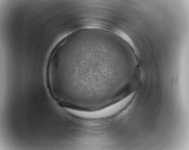 X0000088401138200706051131