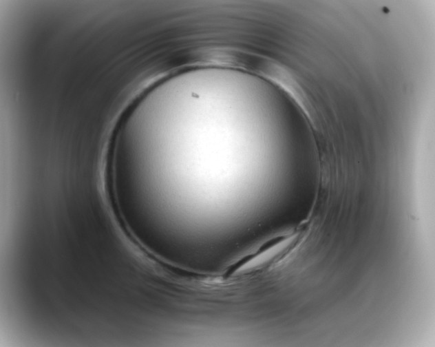 X0000088401139200706051131