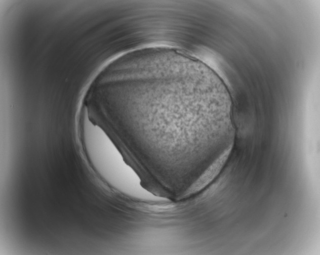 X0000088401140200706051131