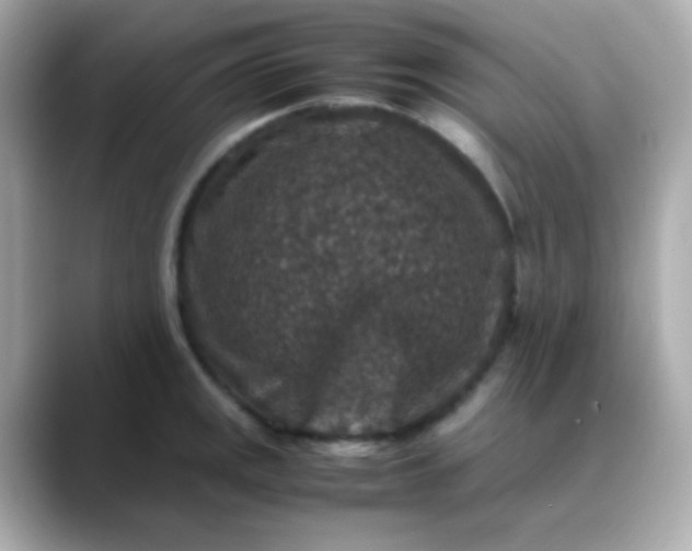 X0000088401141200706051131