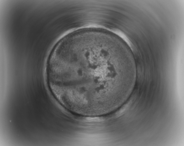 X0000088401142200706051131