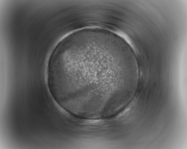 X0000088401143200706051131