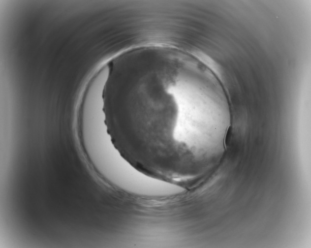 X0000088401144200706051131