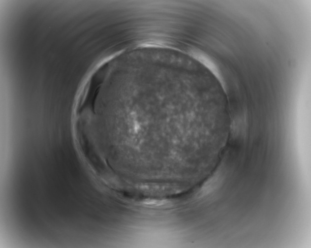 X0000088401146200706051131