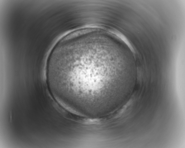 X0000088401148200706051131