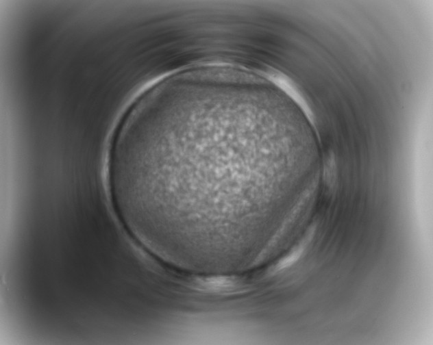 X0000088401149200706051131