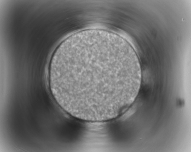 X0000088401150200706051131