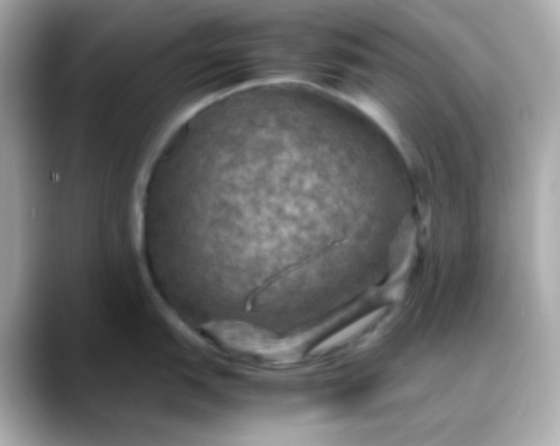 X0000088401151200706051131