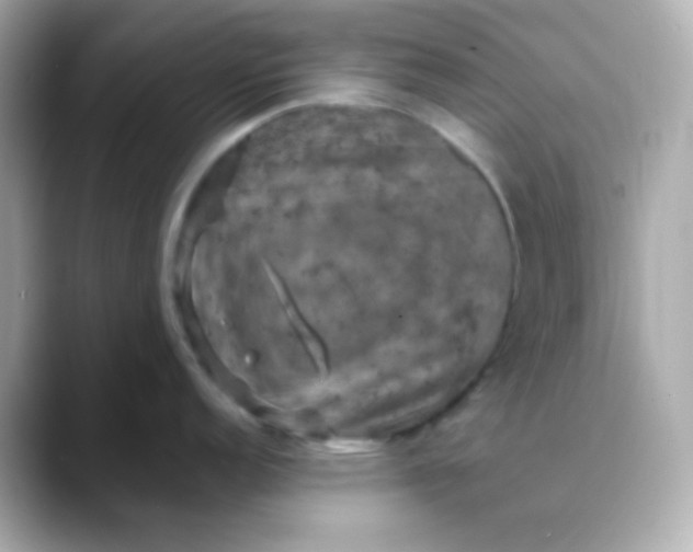 X0000088401152200706051131