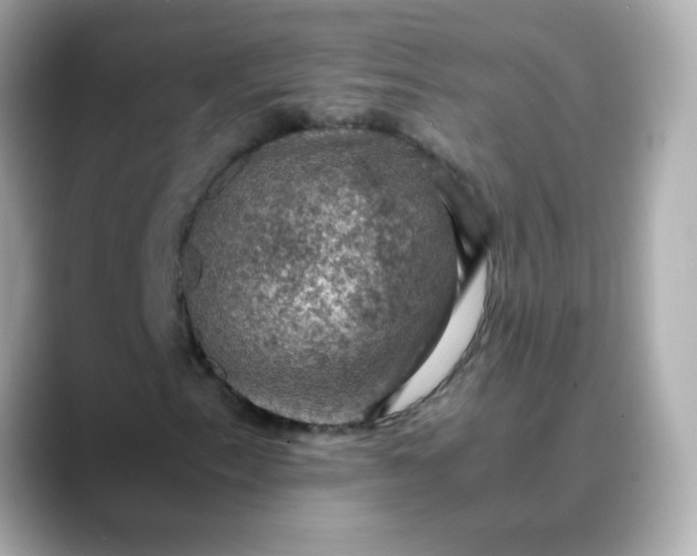 X0000088401153200706051131