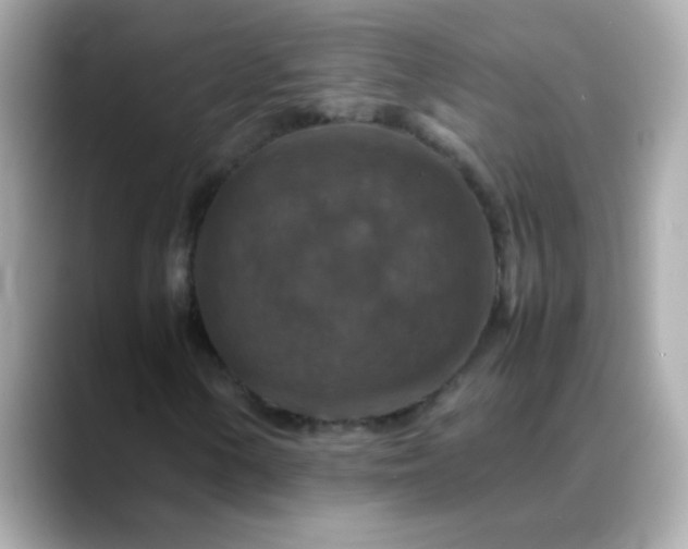 X0000088401154200706051131