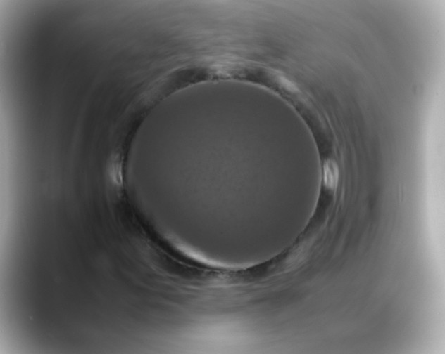 X0000088401155200706051131