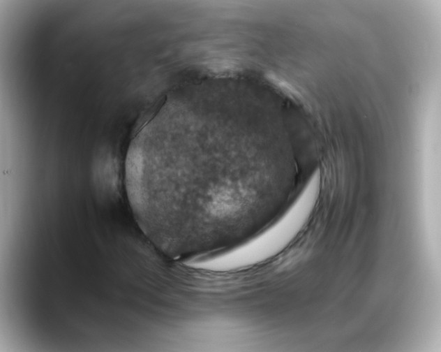 X0000088401156200706051131