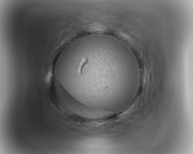 X0000088401157200706051130