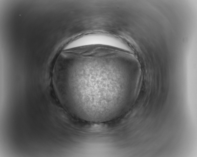 X0000088401160200706051130