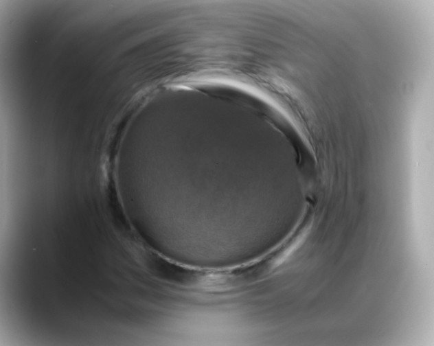 X0000088401161200706051130