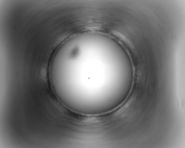 X0000088401162200706051130