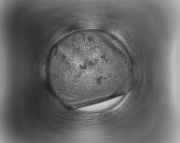 X0000088401163200706051130