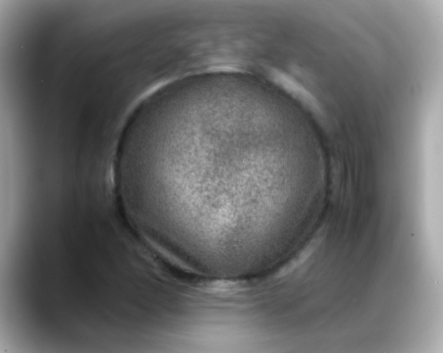 X0000088401166200706051130