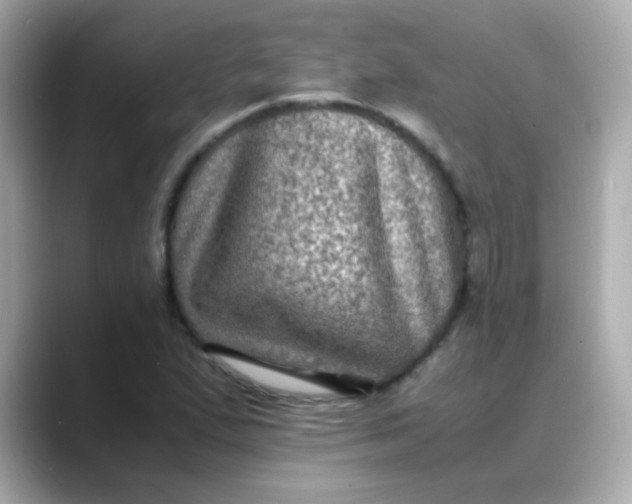 X0000088401167200706051130