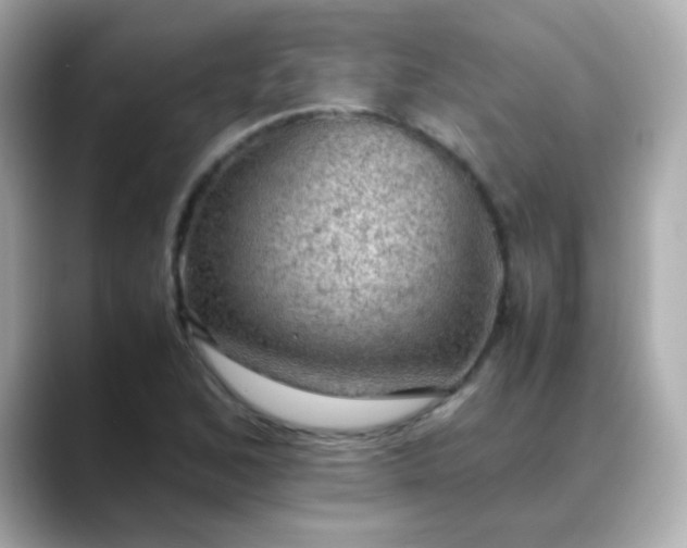 X0000088401168200706051130