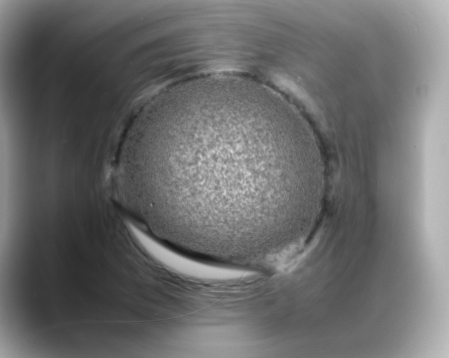 X0000088401169200706051130