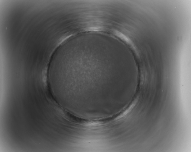 X0000088401170200706051130