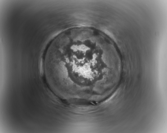 X0000088401171200706051130