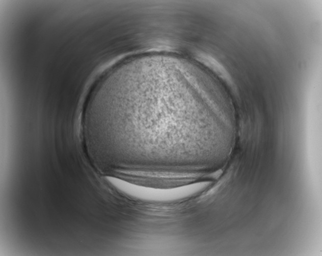 X0000088401172200706051130