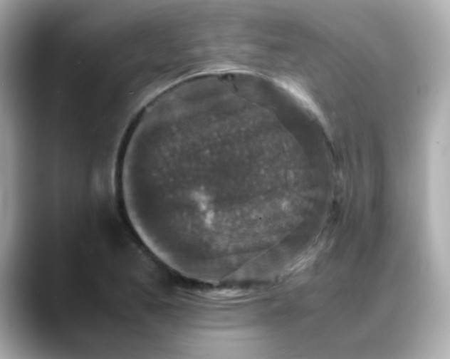 X0000088401173200706051130