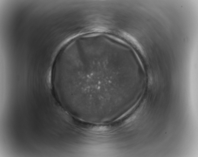 X0000088401174200706051130