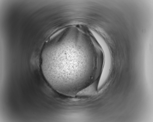 X0000088401177200706051130